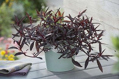 恐怖游戏《综合征》将于年内登陆任天堂Switch